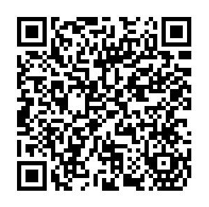 1713927066382095729.png 1.png