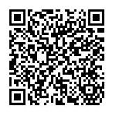 1732687704040012642.png 社招.png