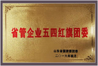 省管企业五四红旗团委